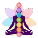 reiki meditation course