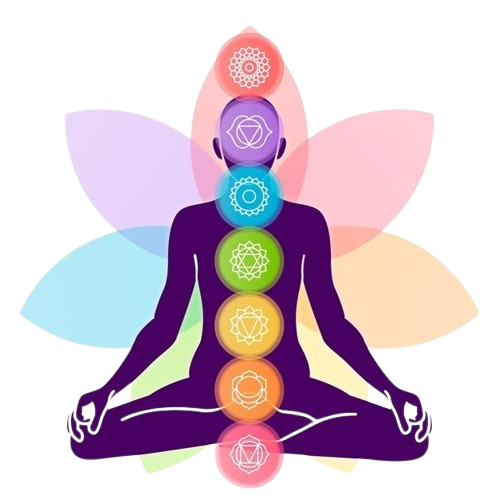 reiki meditation course