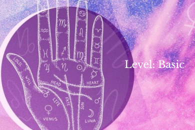 Palmistry Basic