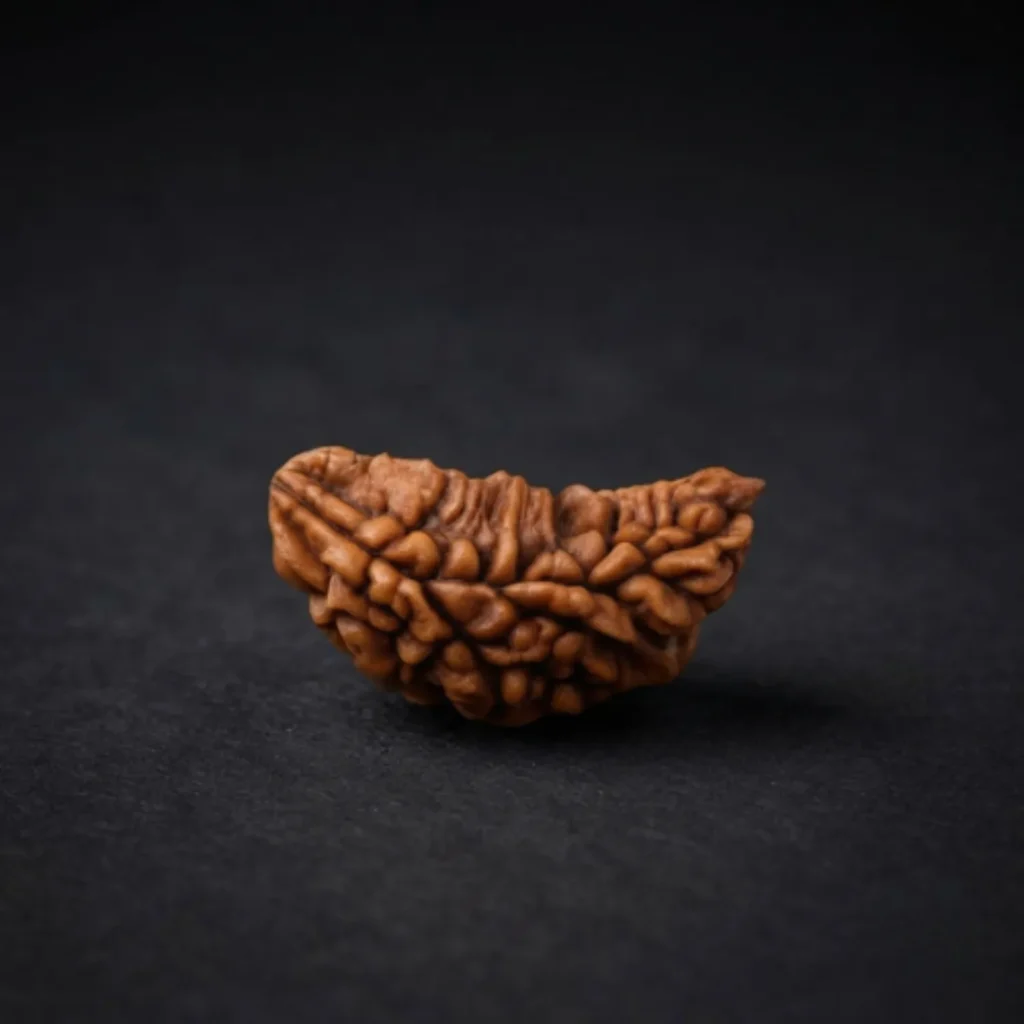 1 Mukhi
