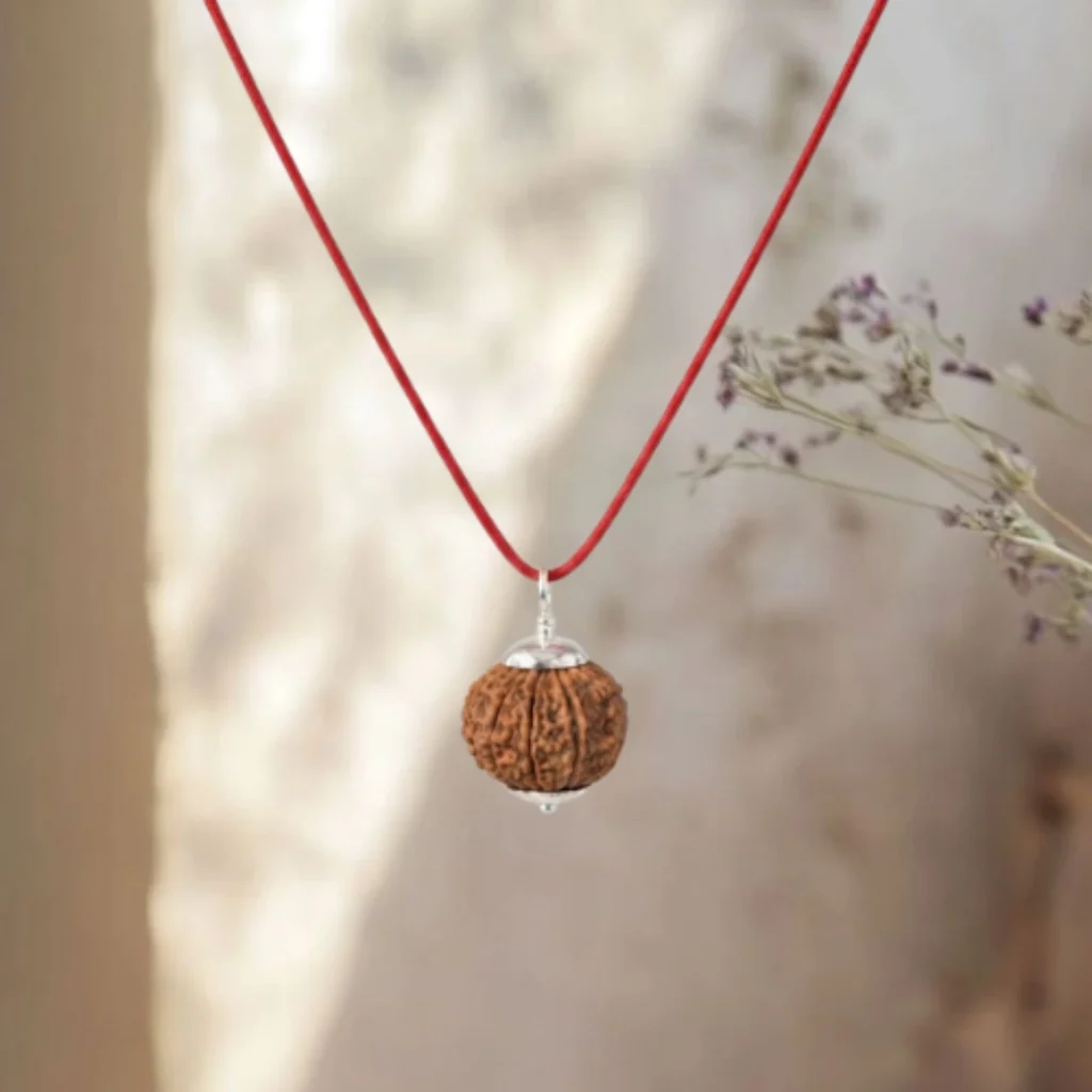 11 Mukhi