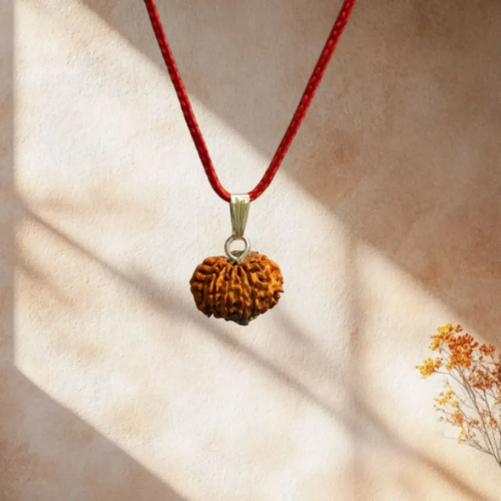 12 Mukhi