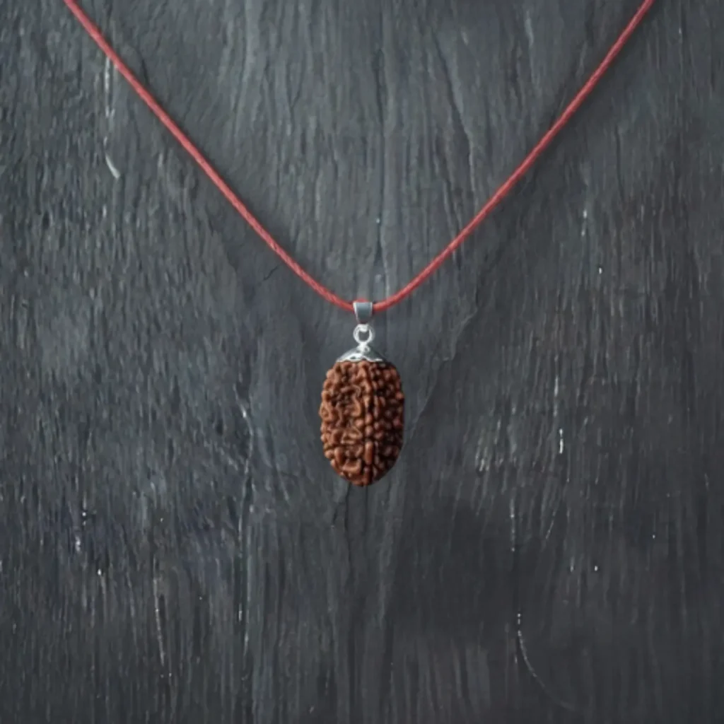 2 Mukhi Rudraksha