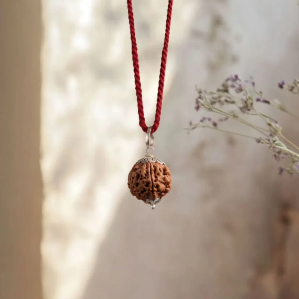 6 Mukhi